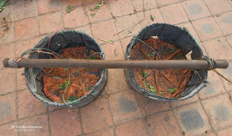 Vegetable Carrier(1).jpg