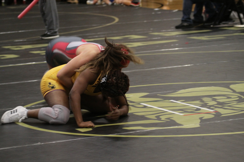 2026 Lafayette Fred Ross Boys and Girls Invitational LVIII.jpg :: 2026 Lafayette 'Fred Ross' Invitational For both boys and girls. Fred Ross (Coach Ross) was a Wrestling High School Coach at Lafayette High School. Coach Ross coached Little League wrestling as well as High School. A staff of referees officiated the matches. The tournament was exciting with both boys and girls in the same gymnasium girls on one end of the gymnasium and the boys on the other side of the gymnasium. Wildwood, Missouri, United States 01-10-2026 