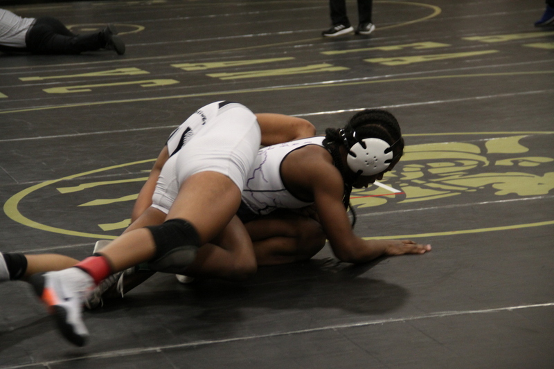 2026 Lafayette Fred Ross Boys and Girls Invitational XXVII.jpg :: 2026 Lafayette 'Fred Ross' Invitational For both boys and girls. Fred Ross (Coach Ross) was a Wrestling High School Coach at Lafayette High School. Coach Ross coached Little League wrestling as well as High School. A staff of referees officiated the matches. The tournament was exciting with both boys and girls in the same gymnasium girls on one end of the gymnasium and the boys on the other side of the gymnasium. Wildwood, Missouri, United States 01-10-2026 