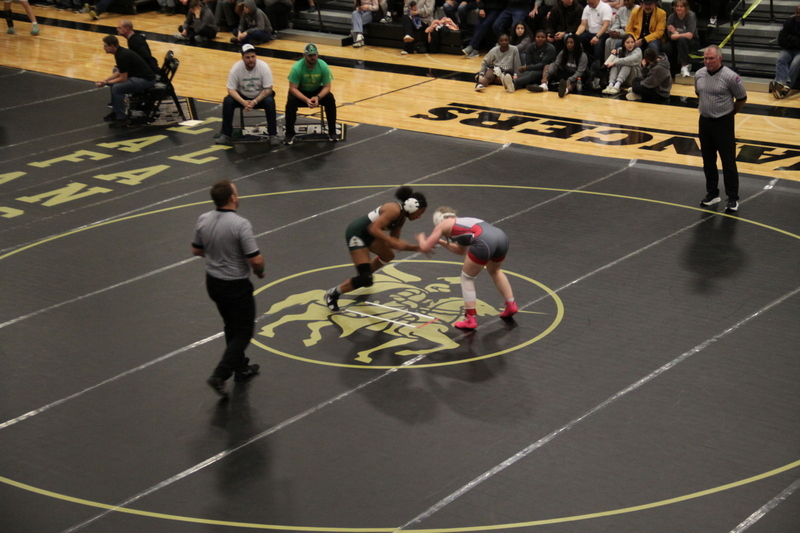 2026 Lafayette Fred Ross Boys and Girls Invitational XXXXIII.jpg :: 2026 Lafayette 'Fred Ross' Invitational For both boys and girls. Fred Ross (Coach Ross) was a Wrestling High School Coach at Lafayette High School. Coach Ross coached Little League wrestling as well as High School. A staff of referees officiated the matches. The tournament was exciting with both boys and girls in the same gymnasium girls on one end of the gymnasium and the boys on the other side of the gymnasium. Wildwood, Missouri, United States 01-10-2026 