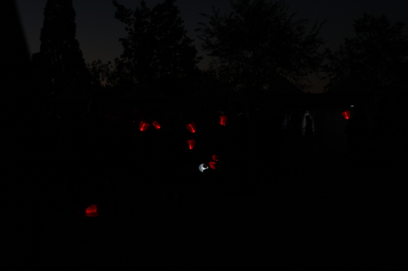 Light the Night St Louis 2025 XXXIX.jpg :: Blood Cancer United/Light the Night 2025/Leukemia & Lymphoma Society - October 19 2025 - This annual event is held in Forest Park-St. Louis, Missouri, USA. Light the Night is for Blood Cancer survivors, patients, and families as well as friends. The lanterns light the night.  