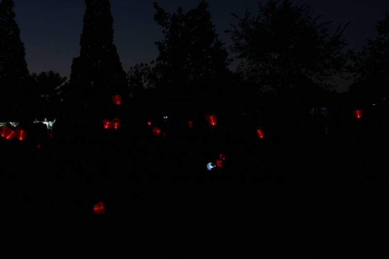Light the Night St Louis 2025 XXXX.jpg :: Blood Cancer United/Light the Night 2025/Leukemia & Lymphoma Society - October 19 2025 - This annual event is held in Forest Park-St. Louis, Missouri, USA. Light the Night is for Blood Cancer survivors, patients, and families as well as friends. The lanterns light the night.  