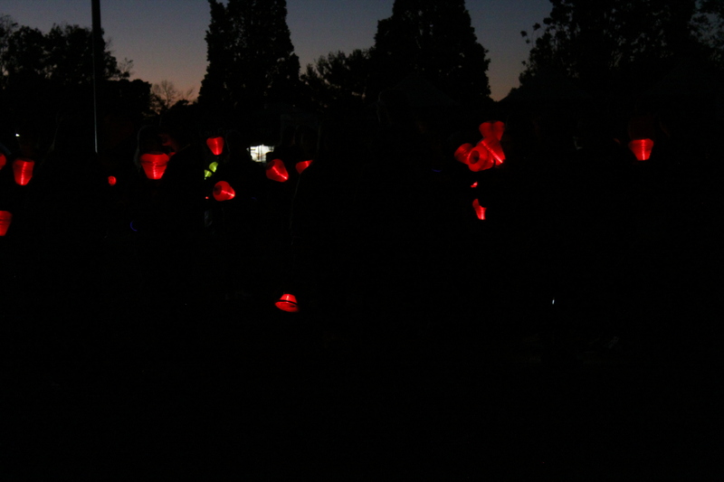 Light the Night St Louis 2025 XXXXII.jpg :: Blood Cancer United/Light the Night 2025/Leukemia & Lymphoma Society - October 19 2025 - This annual event is held in Forest Park-St. Louis, Missouri, USA. Light the Night is for Blood Cancer survivors, patients, and families as well as friends. The lanterns light the night.  