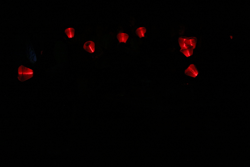 Light the Night St Louis 2025 XXXXVI.jpg :: Blood Cancer United/Light the Night 2025/Leukemia & Lymphoma Society - October 19 2025 - This annual event is held in Forest Park-St. Louis, Missouri, USA. Light the Night is for Blood Cancer survivors, patients, and families as well as friends. The lanterns light the night.  