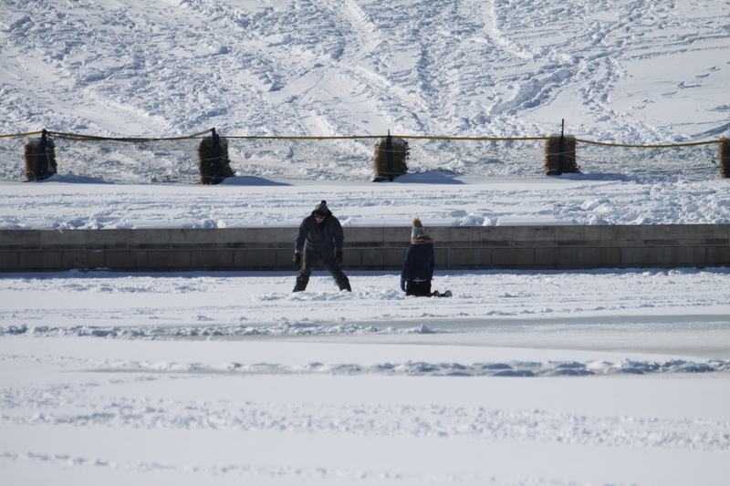 Sledding Art Hill 2026 I.jpg :: Sledding Forest Park-St. Louis, Missouri, USA at Norman K. Probstein Golf Course and Art Hill is a seasonal activity enjoyed for over a century. The first sledders used folding chairs after the 1904 World's Fair. Art Hill leads to the Grand Basin from the Art Museum in Forest Park the hillside had cascading falls and fountains that spilled into the Grand Basin which was used for gondolas. 01/26/2026 