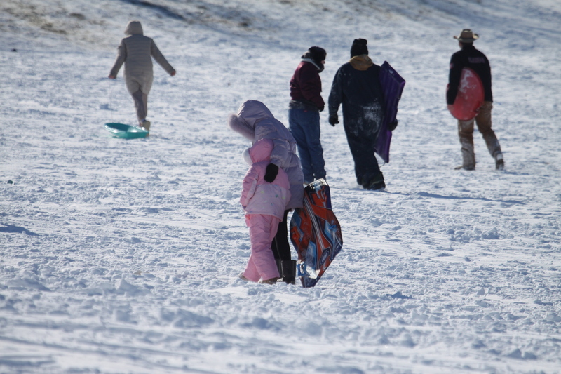 Sledding Art Hill 2026 X.jpg :: Sledding Forest Park-St. Louis, Missouri, USA at Norman K. Probstein Golf Course and Art Hill is a seasonal activity enjoyed for over a century. The first sledders used folding chairs after the 1904 World's Fair. Art Hill leads to the Grand Basin from the Art Museum in Forest Park the hillside had cascading falls and fountains that spilled into the Grand Basin which was used for gondolas. 01/26/2026 