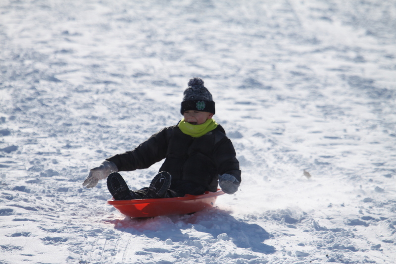 Sledding Art Hill 2026 XIX.jpg :: Sledding Forest Park-St. Louis, Missouri, USA at Norman K. Probstein Golf Course and Art Hill is a seasonal activity enjoyed for over a century. The first sledders used folding chairs after the 1904 World's Fair. Art Hill leads to the Grand Basin from the Art Museum in Forest Park the hillside had cascading falls and fountains that spilled into the Grand Basin which was used for gondolas. 01/26/2026 