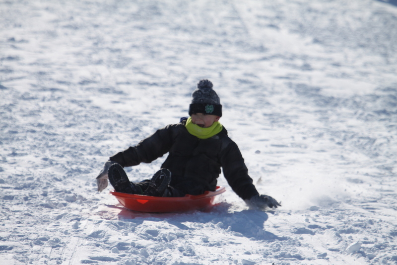 Sledding Art Hill 2026 XVIII.jpg :: Sledding Forest Park-St. Louis, Missouri, USA at Norman K. Probstein Golf Course and Art Hill is a seasonal activity enjoyed for over a century. The first sledders used folding chairs after the 1904 World's Fair. Art Hill leads to the Grand Basin from the Art Museum in Forest Park the hillside had cascading falls and fountains that spilled into the Grand Basin which was used for gondolas. 01/26/2026 