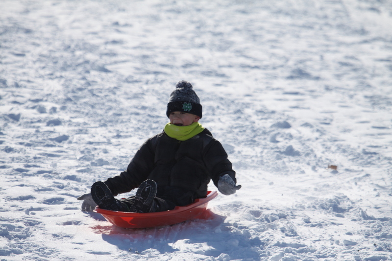 Sledding Art Hill 2026 XX.jpg :: Sledding Forest Park-St. Louis, Missouri, USA at Norman K. Probstein Golf Course and Art Hill is a seasonal activity enjoyed for over a century. The first sledders used folding chairs after the 1904 World's Fair. Art Hill leads to the Grand Basin from the Art Museum in Forest Park the hillside had cascading falls and fountains that spilled into the Grand Basin which was used for gondolas. 01/26/2026 