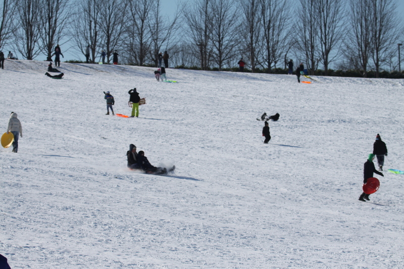 Sledding Art Hill 2026 XXXIII.jpg :: Sledding Forest Park-St. Louis, Missouri, USA at Norman K. Probstein Golf Course and Art Hill is a seasonal activity enjoyed for over a century. The first sledders used folding chairs after the 1904 World's Fair. Art Hill leads to the Grand Basin from the Art Museum in Forest Park the hillside had cascading falls and fountains that spilled into the Grand Basin which was used for gondolas. 01/26/2026 