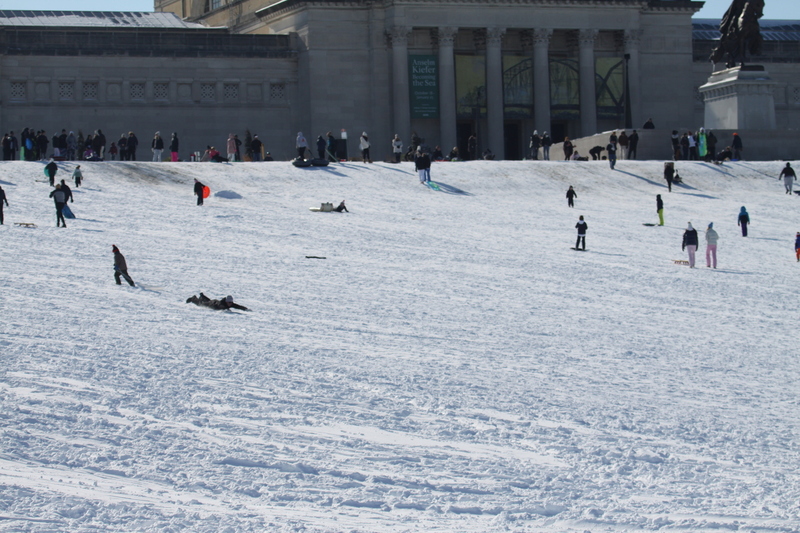 Sledding Art Hill 2026 XXXVIII.jpg :: Sledding Forest Park-St. Louis, Missouri, USA at Norman K. Probstein Golf Course and Art Hill is a seasonal activity enjoyed for over a century. The first sledders used folding chairs after the 1904 World's Fair. Art Hill leads to the Grand Basin from the Art Museum in Forest Park the hillside had cascading falls and fountains that spilled into the Grand Basin which was used for gondolas. 01/26/2026 