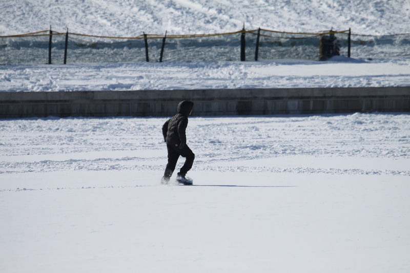 Sledding Art Hill 2026.jpg :: Sledding Forest Park-St. Louis, Missouri, USA at Norman K. Probstein Golf Course and Art Hill is a seasonal activity enjoyed for over a century. The first sledders used folding chairs after the 1904 World's Fair. Art Hill leads to the Grand Basin from the Art Museum in Forest Park the hillside had cascading falls and fountains that spilled into the Grand Basin which was used for gondolas. 01/26/2026 