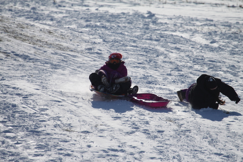 Sledding in Forest Park 2026 I.jpg :: Sledding Forest Park-St. Louis, Missouri, USA at Norman K. Probstein Golf Course and Art Hill is a seasonal activity enjoyed for over a century. The first sledders used folding chairs after the 1904 World's Fair. Art Hill leads to the Grand Basin from the Art Museum in Forest Park the hillside had cascading falls and fountains that spilled into the Grand Basin which was used for gondolas. 01/26/2026 