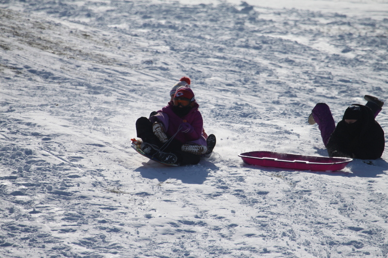Sledding in Forest Park 2026 II.jpg :: Sledding Forest Park-St. Louis, Missouri, USA at Norman K. Probstein Golf Course and Art Hill is a seasonal activity enjoyed for over a century. The first sledders used folding chairs after the 1904 World's Fair. Art Hill leads to the Grand Basin from the Art Museum in Forest Park the hillside had cascading falls and fountains that spilled into the Grand Basin which was used for gondolas. 01/26/2026 