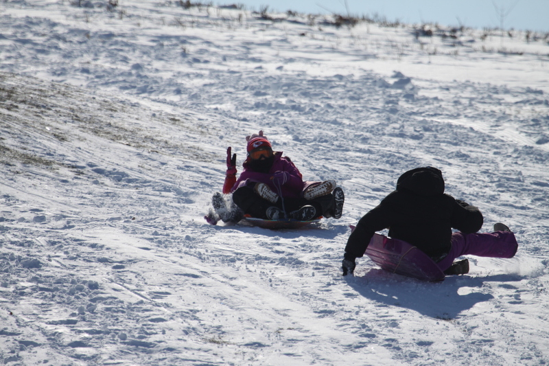 Sledding in Forest Park 2026.jpg :: Sledding Forest Park-St. Louis, Missouri, USA at Norman K. Probstein Golf Course and Art Hill is a seasonal activity enjoyed for over a century. The first sledders used folding chairs after the 1904 World's Fair. Art Hill leads to the Grand Basin from the Art Museum in Forest Park the hillside had cascading falls and fountains that spilled into the Grand Basin which was used for gondolas. 01/26/2026 