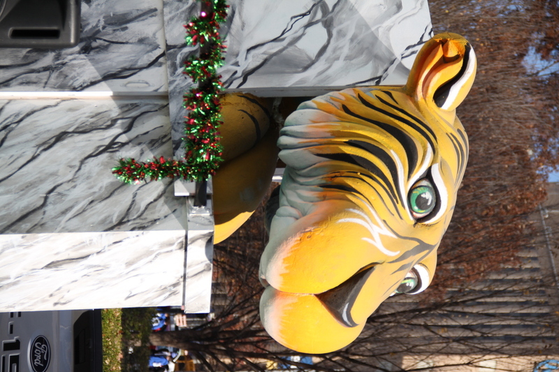 St Louis Thanksgiving Parade 2025 XV.jpg :: St. Louis Thanksgiving Parade 2025 - 11/22/2025 - On a warm Saturday in Downtown St. Louis, Missouri, USA the floats are readied for the days parade and the opening of 'The Winterfest' at Kiener Plaza. The Lighting of the Tree is also today to begin the Christmas season in St. Louis. There will be over 120 entrees for parade goers to view. 