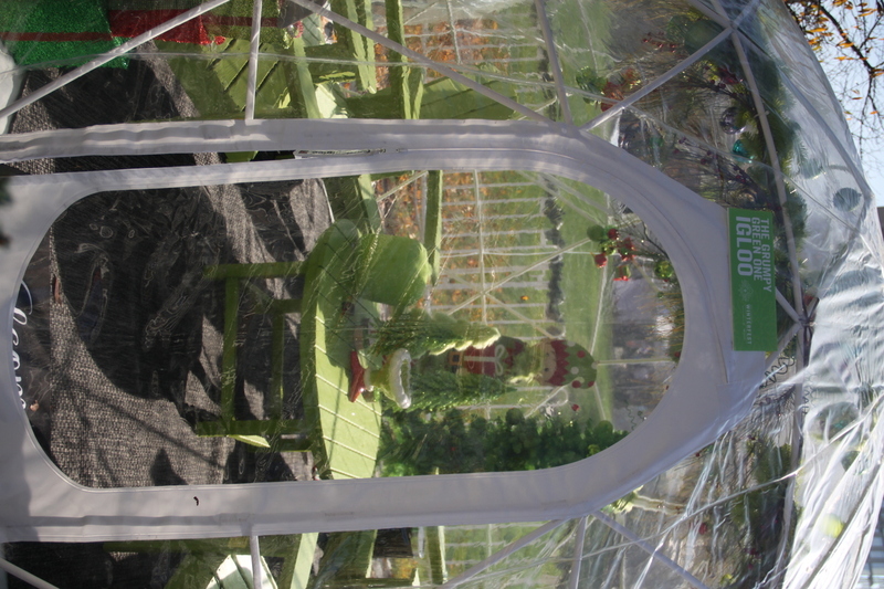 St Louis Winterfest 2025 XI.jpg :: Winterfest 2025 at Kiener Plaza in St. Louis, Missouri, USA. Winterfest is the event in Downtown St. Louis open for the Winter Holidays. The St. Louis Tree Lighting is at the Old Courthouse across the lawn from Kiener Plaza. Things do include ice skating, igloo lounges, and food vendors. St. Louis invites you to come and enjoy the family fun of Winterfest 2025. opening day 11/22/2025 