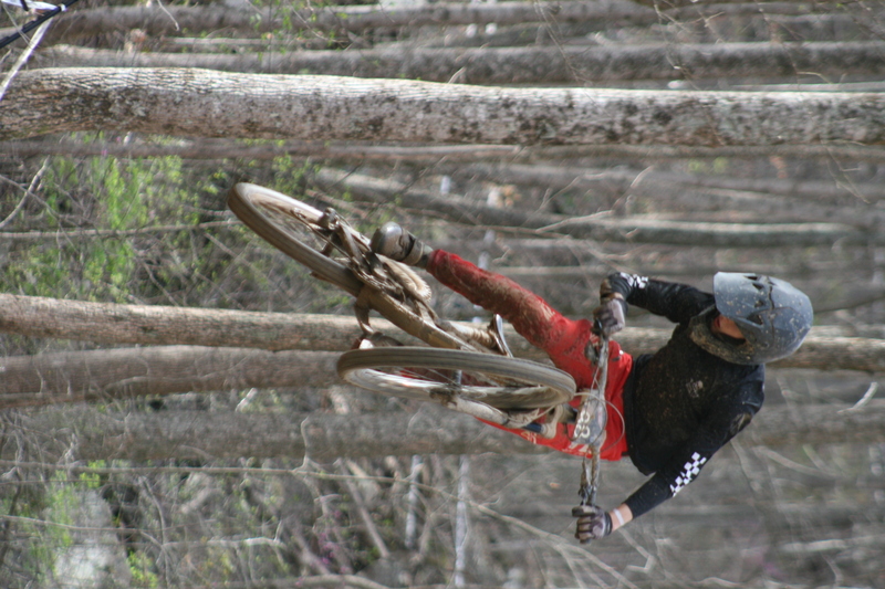 Tennessee National Mountain Bike Festival 2023 LIV.jpg :: Tennessee National 2023 - Tennessee Mountain Bike Festival 2023 - Windrock Bicycle Park in Oliver Springs, Tennessee, USA. Mountain Bike Downhill on the wooded trail in hills of Tennessee. Fast downhill action with aerials throughout the run. Red Bull gives you wings. 