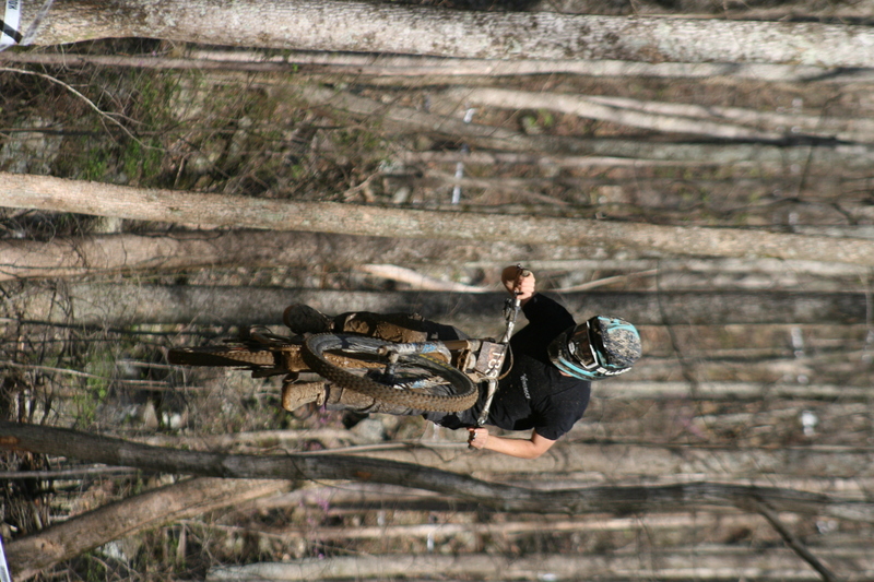 Tennessee National Mountain Bike Festival 2023 LXI.jpg :: Tennessee National 2023 - Tennessee Mountain Bike Festival 2023 - Windrock Bicycle Park in Oliver Springs, Tennessee, USA. Mountain Bike Downhill on the wooded trail in hills of Tennessee. Fast downhill action with aerials throughout the run. Red Bull gives you wings. 