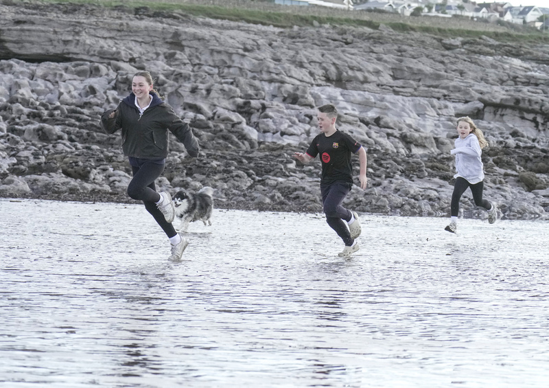 Dogs  Ogmore  006(1).jpg