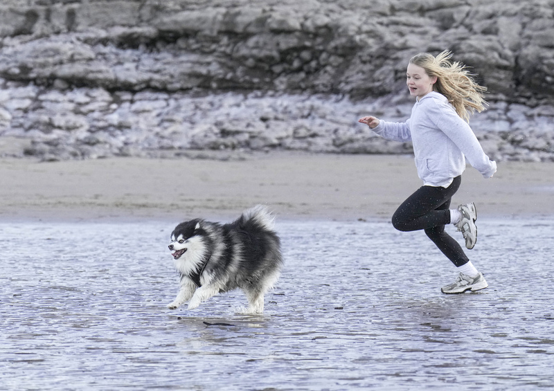 Dogs  Ogmore  007(1).jpg