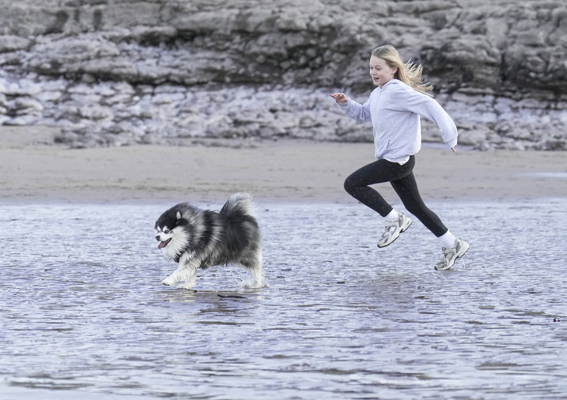 Dogs  Ogmore  008(1).jpg