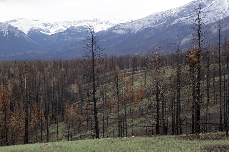 jasperfire9-1.jpg