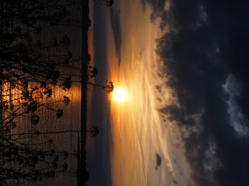 Branched Oak Lake.jpg :: OLYMPUS DIGITAL CAMERA