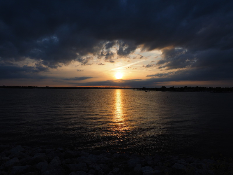 Branched Oak Sunset.jpg