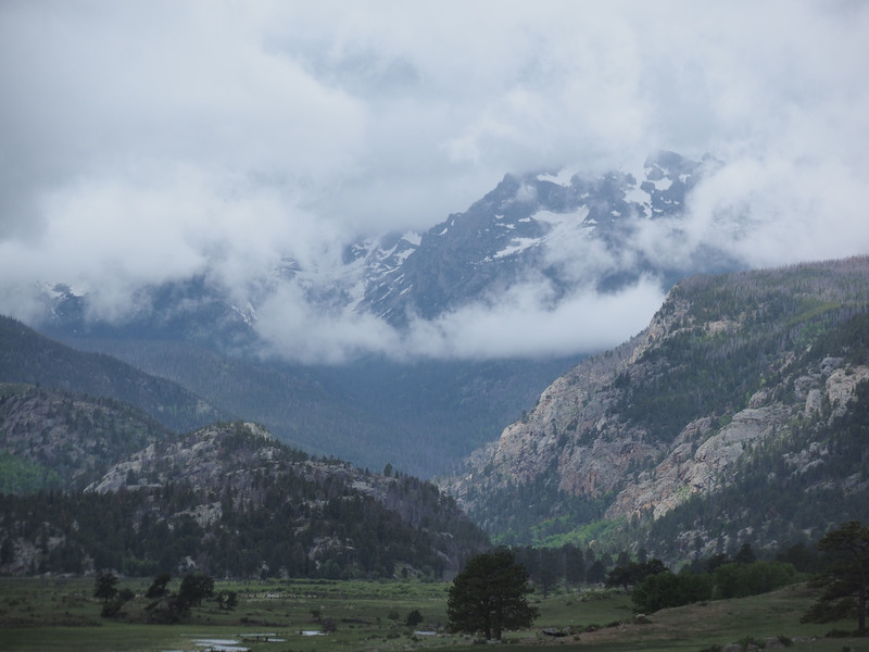 Moraine Park - RMNP.jpg