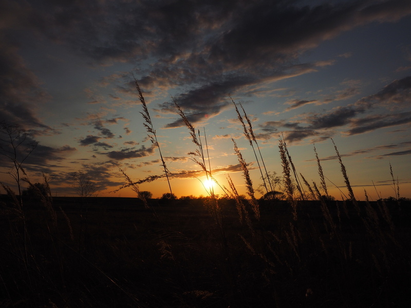 Nebraska Sunset.jpg