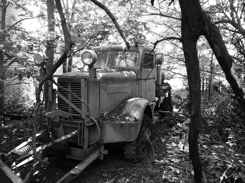 P7230408-2bw.jpg :: OLYMPUS DIGITAL CAMERA