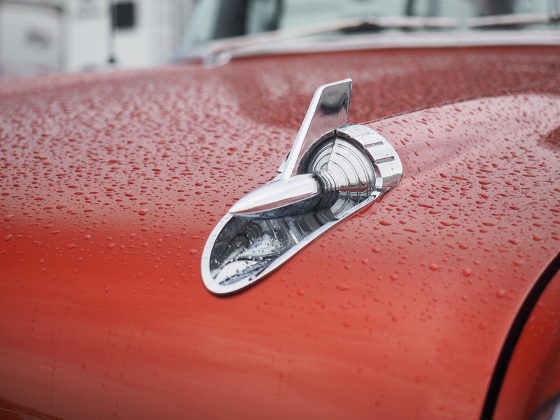 P7280116.jpg :: OLYMPUS DIGITAL CAMERA