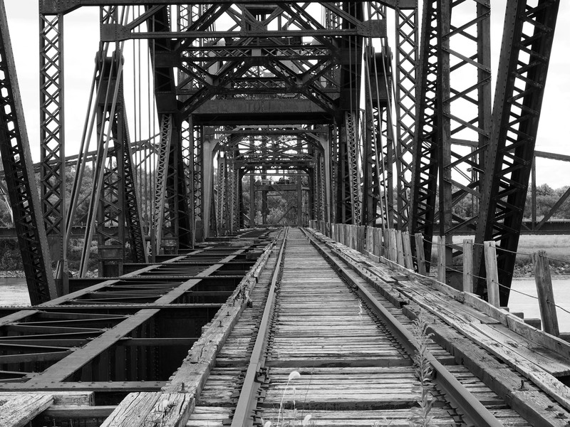 P8200075-1bw (1)(1).jpg