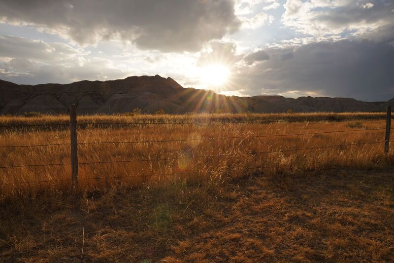 Toadstool Sunset.jpg