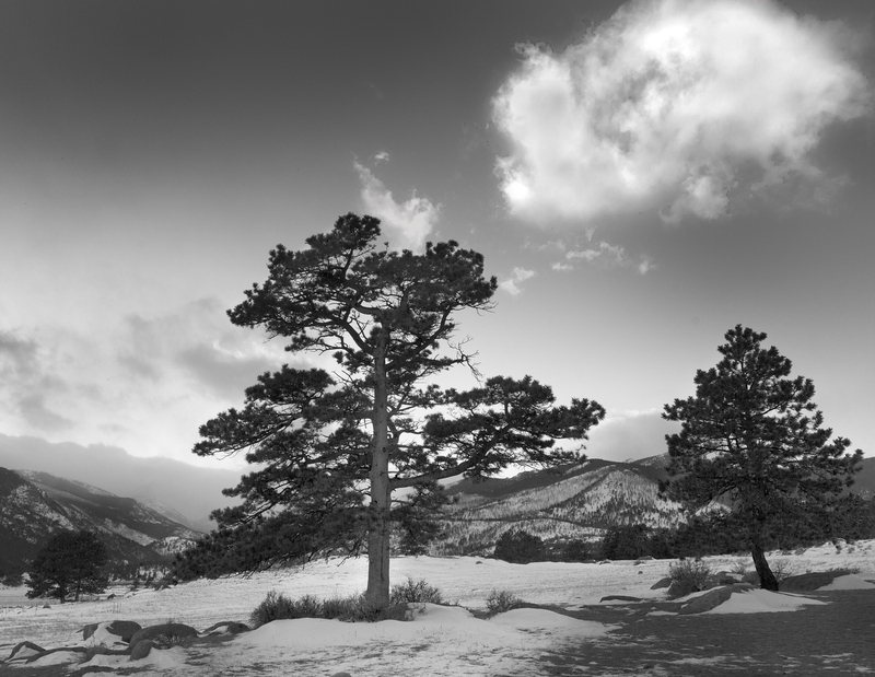 A Cedar and a White Cloud Storm.jpg :: This is an area that I really enjoy working in, when I get a good weather situation.