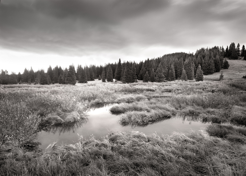 Bog Cabinet Creek Wyoming.jpg :: I had passed by this spot several times but the wind was so strong that the top of the ponds were very ruffled.  The last morning of my residency there it had rained all night and these ponds were absolutely glassy.