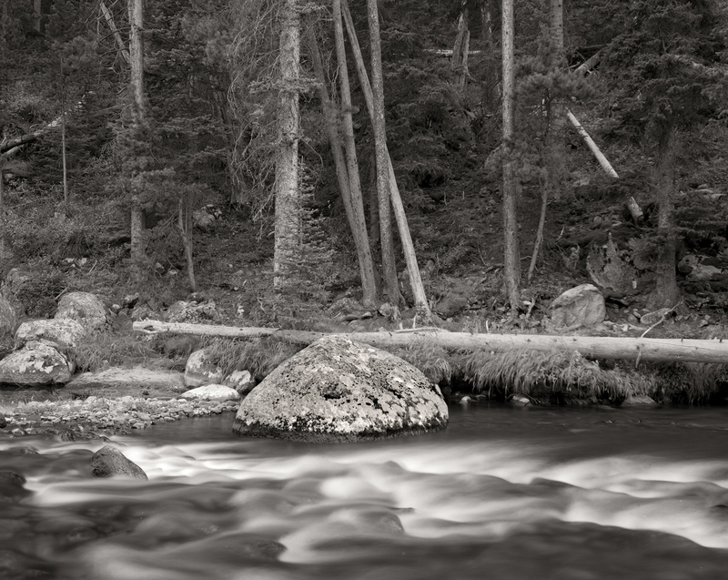 Boulder and Forest Shell Creek Wyoming (Ink Jet).jpg