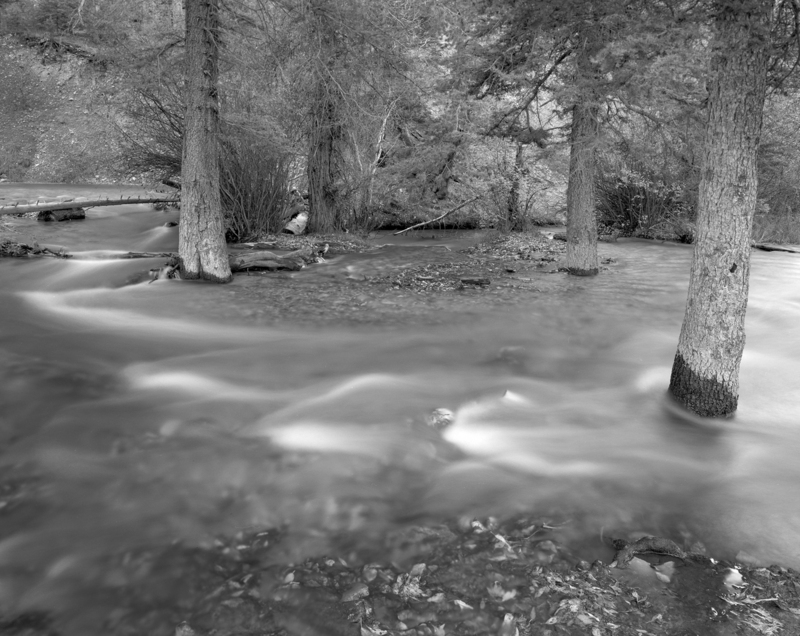 Flood Red River159.jpg :: we were along the Red River in Northern New Mexico last October.  There had been a lot of rain and the Red River was out of its banks.  Normally a small trickle, this time it was a raging river.