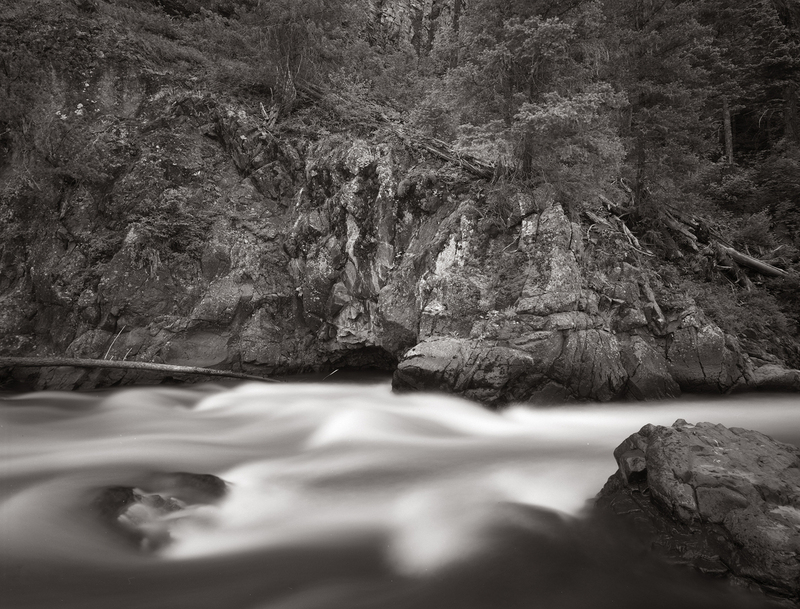 Forest East Fork of the San Juan Colorado.jpg :: The East Fork of the San Juan was flowing very strongly, almost in flood and the forest above it was very healthy and lush.  Very nice.