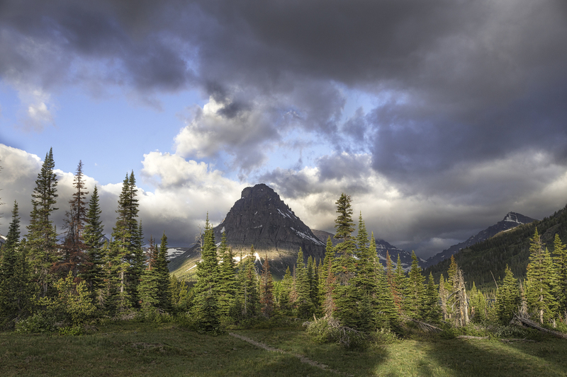 Forest and Mount Sinopah Montana.jpg