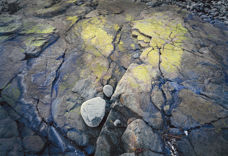 Green Patina Schoodic Beach(1).jpg