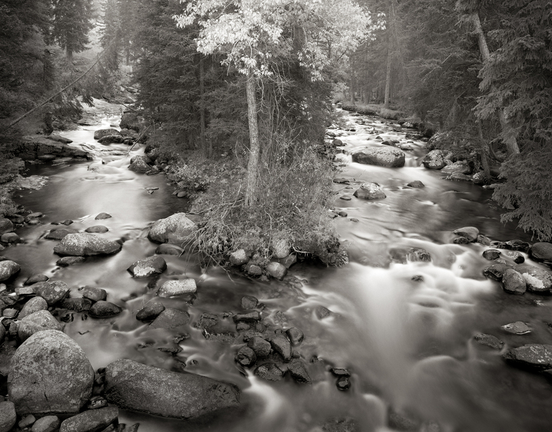Shell Creek Splits Bighorn National Forest Wyoming (Ink Jet).jpg