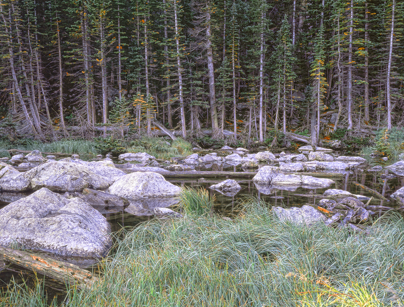 Shoreline Dream Lake(1).jpg