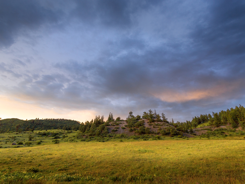 Sunset Gold Piedra Ridge(1).jpg