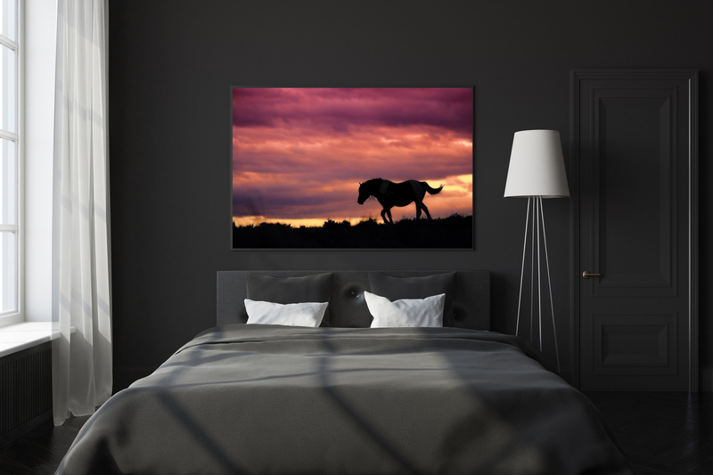 15.jpg :: Custom create the perfect finishing touch for your home or office with an exquisite, iconic piece of art shot locally among the wild mustangs of the west.  Bringing both a sense of sophistication and freedom to any room your new artwork will be a highlight piece of decor for years to come.