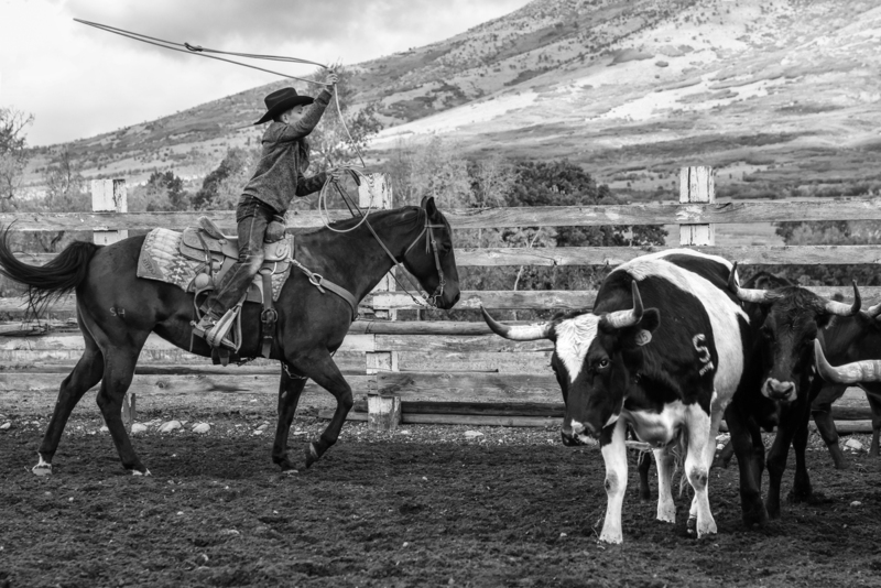 27B3A1691bw(1).jpg 27B3A1691bw(1).jpg