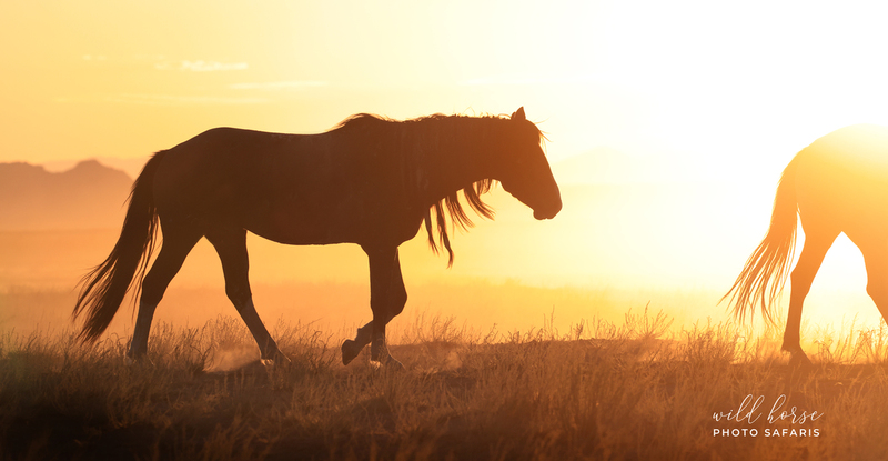 7B3A57141crop.jpg 7B3A57141crop.jpg