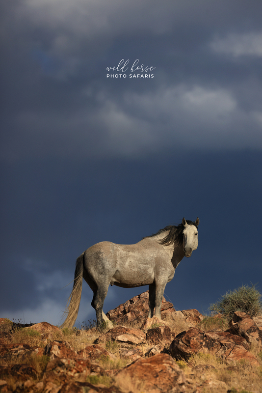 7B3A63642.jpg 7B3A63642.jpg