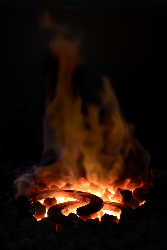 7B3A6627.jpg